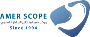 Amer Group